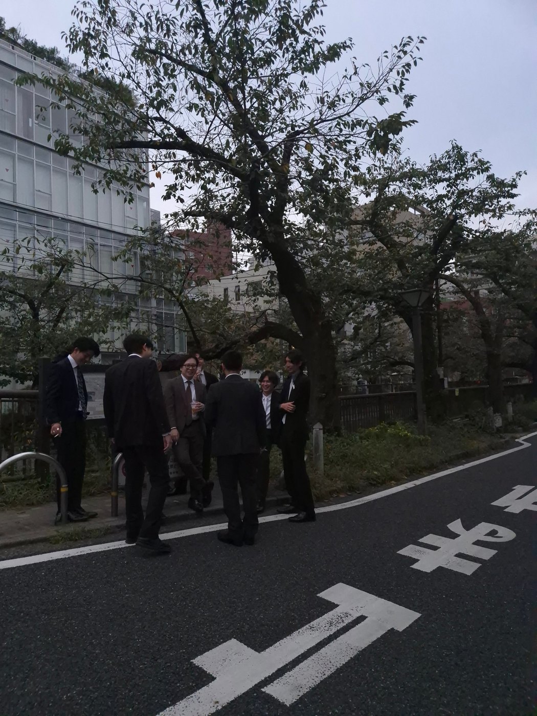 Office workers in suits under a tree, Tokyo