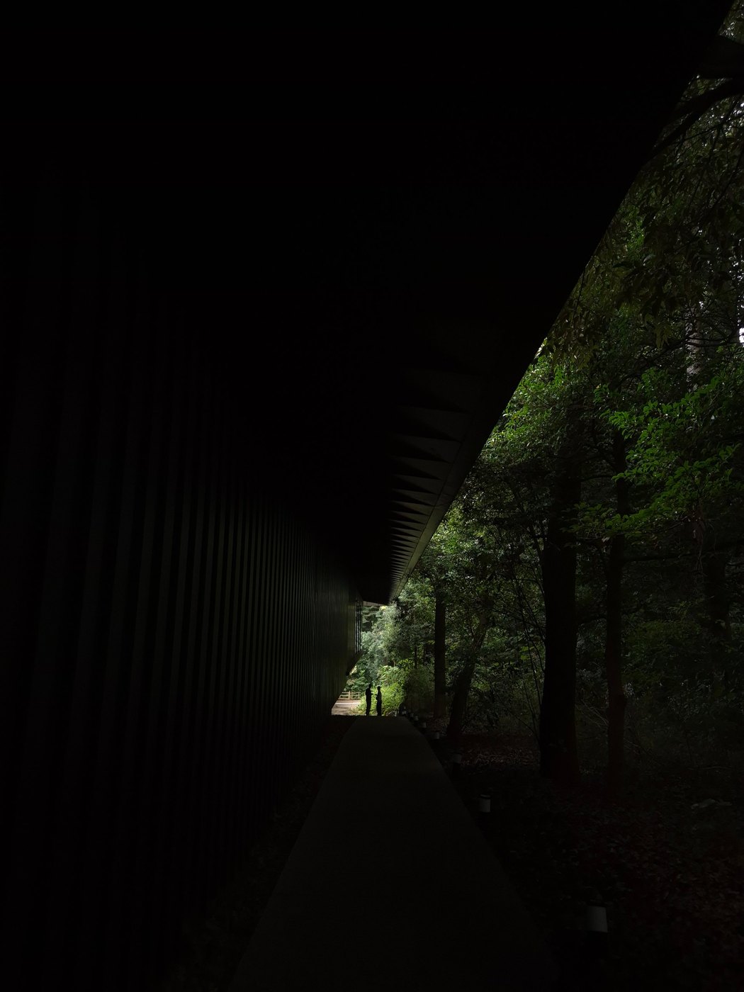 Silhouettes at the end of a dark corridor by a forest