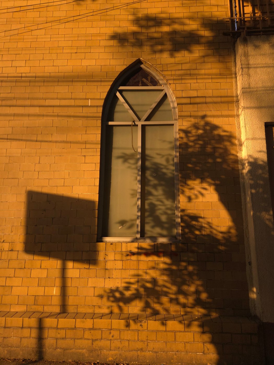 Gothic window on a yellow brick wall with tree shadows