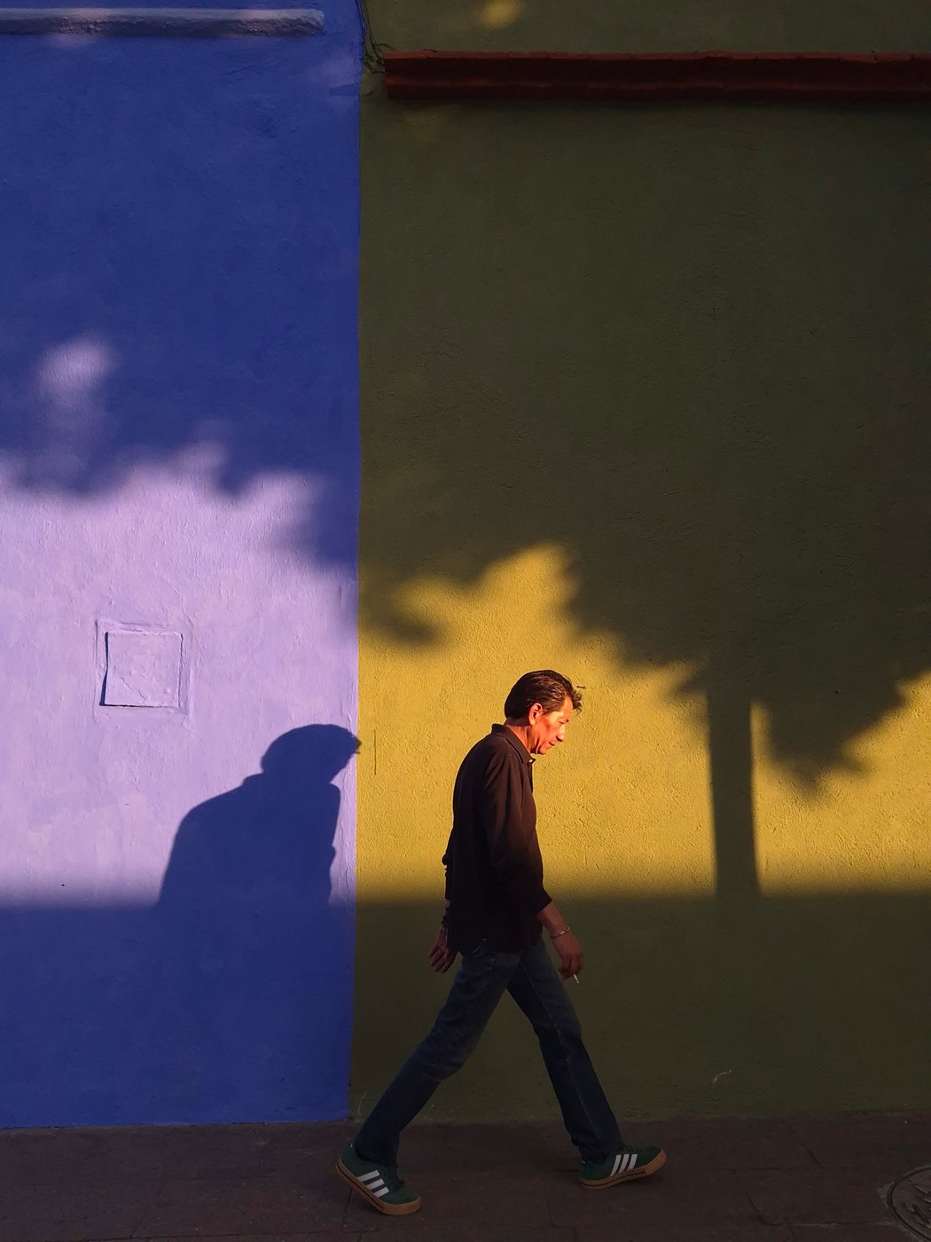 Man walking past a blue and green wall in late light, his shadow on the wall