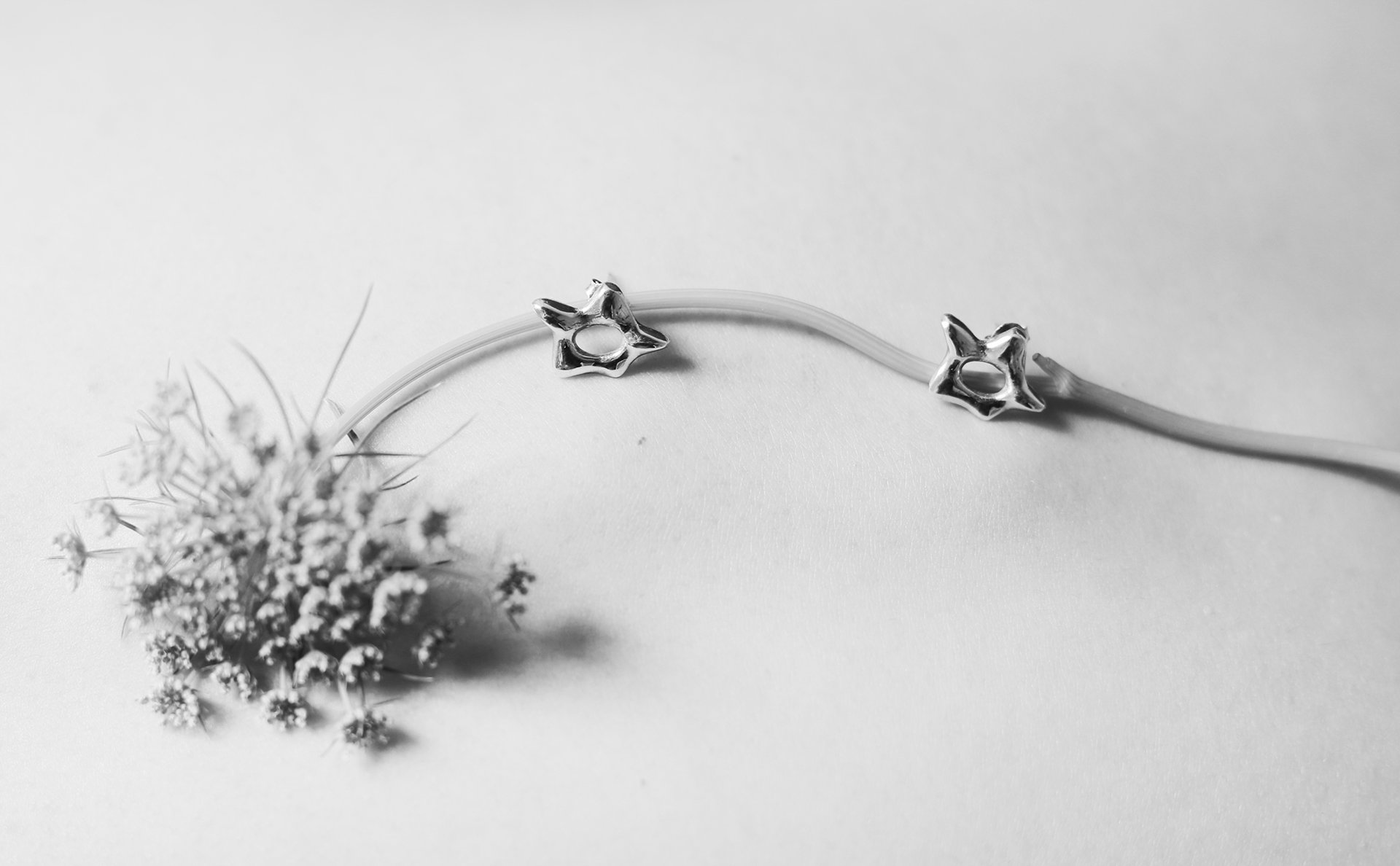 Torus star earrings resting on a curved flower stem